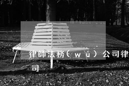 律師 法務(wù)公司(律師法務(wù)公司)