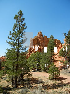 律師為什么要自己的當(dāng)事人認(rèn)罪(律師誘導(dǎo)當(dāng)事人認(rèn)罪)