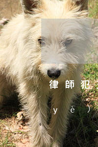 律師犯交通肇事罪還可以執(zhí)業(yè)嗎(交通肇事罪請(qǐng)律師作用大嗎)