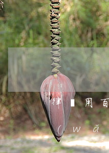 律師用百度模板(律師事務(wù)所 百度網(wǎng)盤)