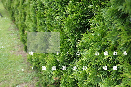 律師發(fā)函催款通知書(律師發(fā)函催款通知書模版)