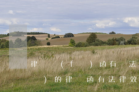 律師發(fā)函有無法律效力(律師發(fā)的律師函有法律效應(yīng)嗎)