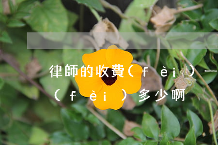 律師的收費(fèi)一般是多少(律師收費(fèi)多少啊)