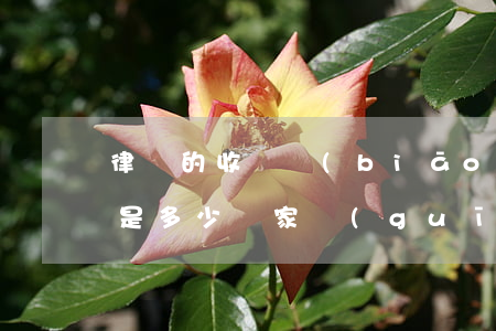 律師的收費標(biāo)準(zhǔn)是多少(國家規(guī)定律師收費標(biāo)準(zhǔn))