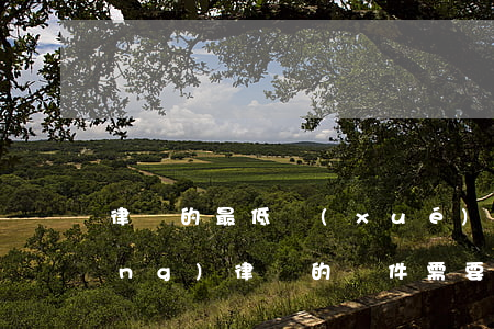 律師的最低學(xué)歷是什么(當(dāng)律師的條件需要什么學(xué)歷)