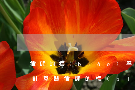 律師的標(biāo)準(zhǔn)收費計算器(律師的標(biāo)準(zhǔn)收費計算器)