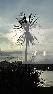 律師的費(fèi)用一般怎么給(律師費(fèi)用一般怎么收)