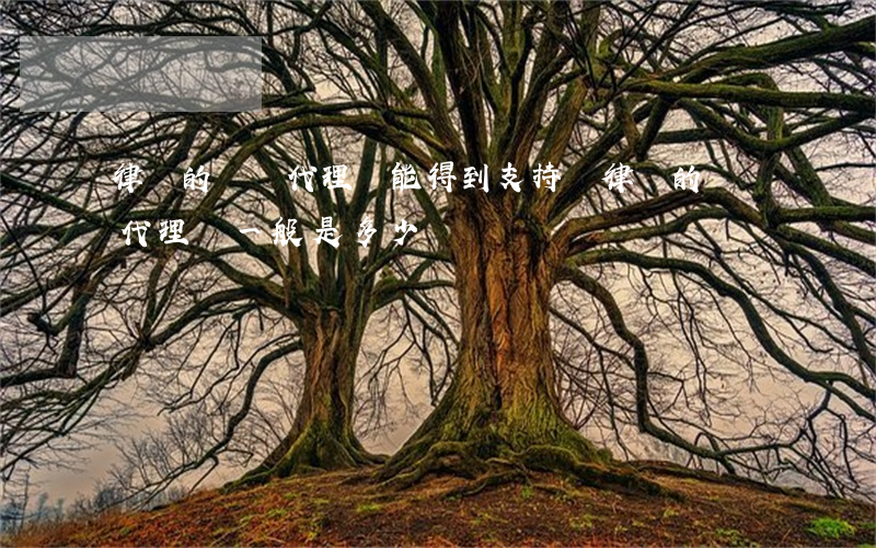 律師的風險代理費能得到支持嗎(律師的風險代理費一般是多少)