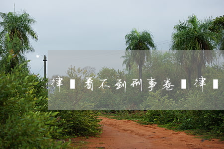 律師看不到刑事卷嗎(律師看不到刑事卷嗎)