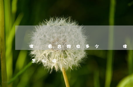 律師看合同收多少錢(請律師幫忙看一下合同怎么收費)