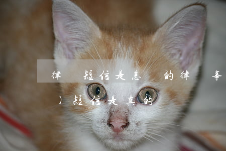 律師短信是怎樣的(律師事務所給我發(fā)短信是真的嗎)