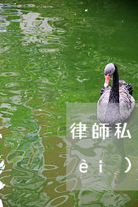 律師私自收費(fèi)(律師私自收費(fèi)處罰的代表案例)