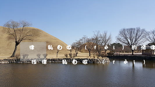 律師私自收費(fèi)的法律責(zé)任(律師私自收費(fèi)處罰條文)