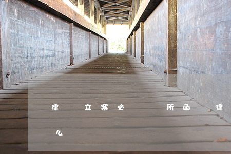 律師立案必須開所函嗎(律師事務所所函是什么)