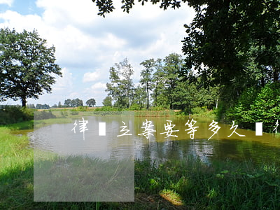 律師立案要等多久(請律師立案需要多久)