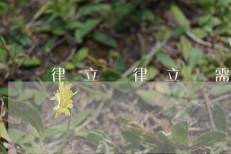 律師立遺囑(律師立遺囑需要什么手續(xù))