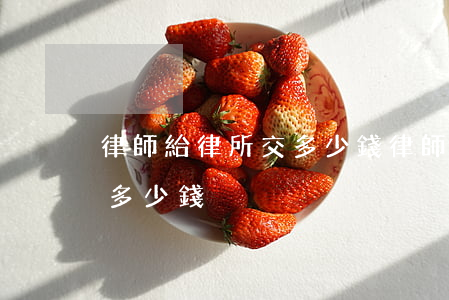 律師給律所交多少錢(律師費多少錢大概需要多少錢)