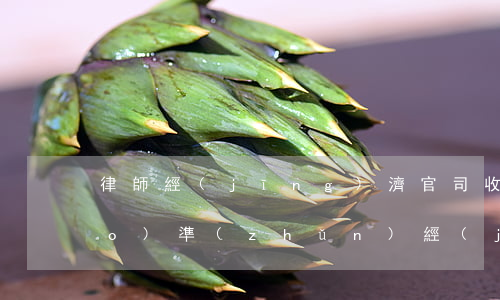 律師經(jīng)濟官司收費標(biāo)準(zhǔn)(經(jīng)濟類官司要付多少律師費?)