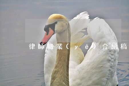 律師職業(yè)介紹稿(律師介紹詞)