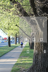 律師職業(yè)資格證書圖片(律師資格證圖片最新)