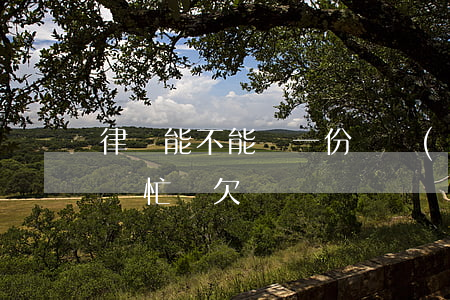 律師能不能寫一份債務(wù)-律師可以幫忙寫欠條嗎