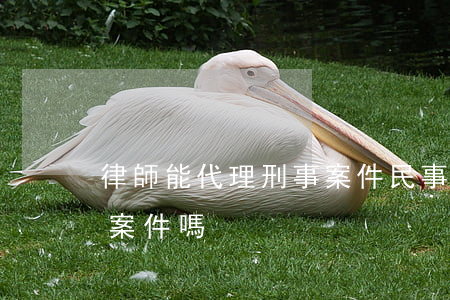 律師能代理刑事案件(民事律師可以代理刑事案件嗎)