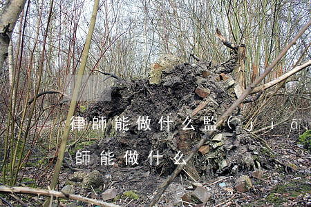 律師能做什么(監(jiān)視居住期間律師能做什么)