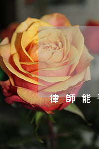 律師能否代理控告代理(律師是訴訟代理人嗎)