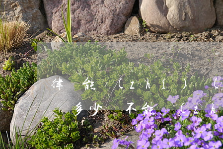 律師能執(zhí)業(yè)到多少歲(律師多少歲不能執(zhí)業(yè))