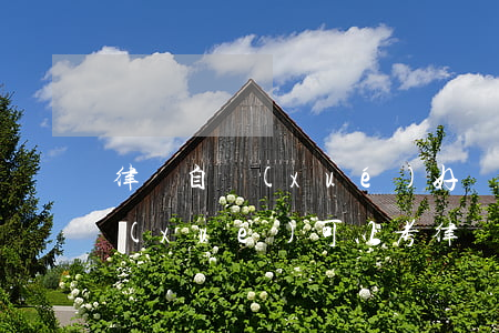 律師自學(xué)好學(xué)嗎(自學(xué)可以考律師證嗎)