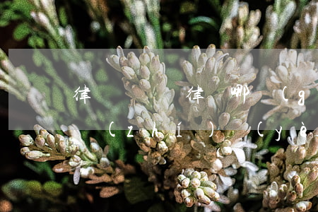 律師與專職律師哪個(gè)好(專職律師和執(zhí)業(yè)律師哪個(gè)能力強(qiáng))