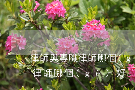 律師與專職律師哪個(gè)好(律師與專職律師哪個(gè)好)