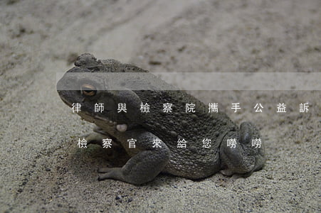 律師與檢察院攜手公益訴訟(什么是公益訴訟?檢察官來給您嘮嘮)