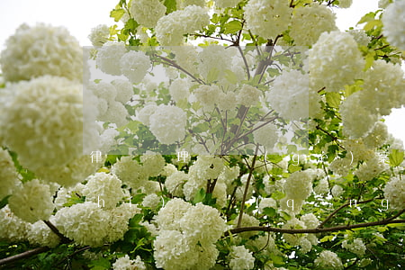律師處理一個(gè)案子需要多少時(shí)間(請(qǐng)了律師一般要多久才能結(jié)案)