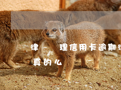 律師處理信用卡逾期 律師處理信用卡逾期是真的么