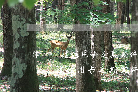 律師處理信用卡逾期案件的主要做法是-律師處理信用卡逾期案件的主要做法是哪些
