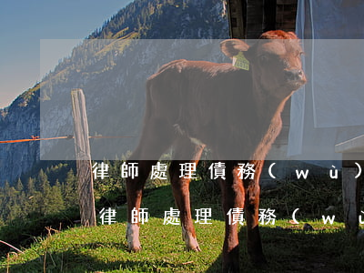 律師處理債務(wù)問(wèn)題流程(律師處理債務(wù)怎么收費(fèi))
