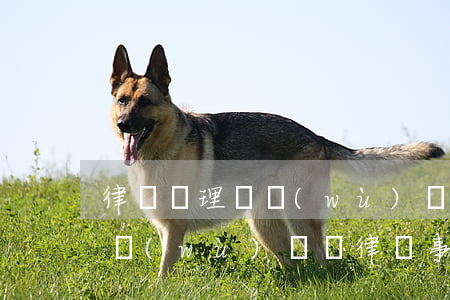 律師處理債務(wù)糾紛律師怎么收費(債務(wù)糾紛律師事務(wù)所收費標準)