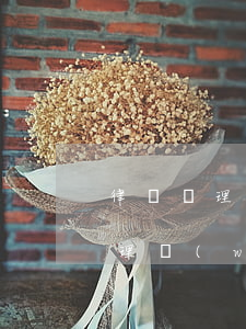 律師處理網(wǎng)貸逾期收費(律師處理網(wǎng)貸的費用)