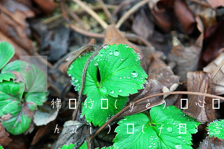 律師行業(yè)談心談話摘要(律師年會(huì)發(fā)言)