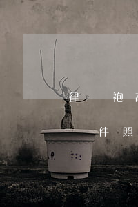 律師袍高清標(biāo)準(zhǔn)證件照(穿律師袍的律師照片)