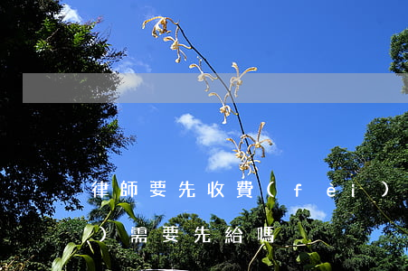 律師要先收費(fèi)嗎(律師費(fèi)需要先給嗎)