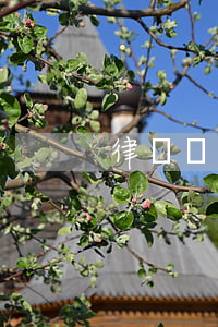 律師見證的法律效力