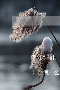 律師計(jì)時(shí)收費(fèi)怎么計(jì)算(律師費(fèi)收費(fèi)計(jì)算器)