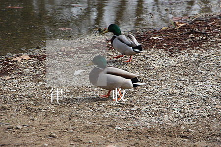 律師討債收費標準