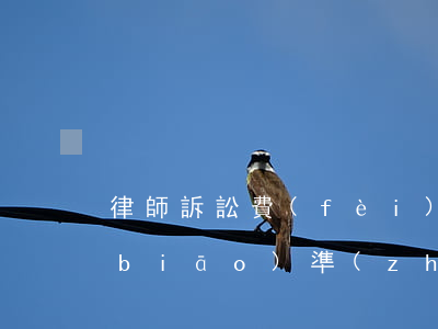 律師訴訟費(fèi)收費(fèi)標(biāo)準(zhǔn)(請(qǐng)律師起訴要多少錢)