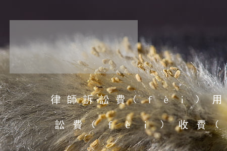 律師訴訟費(fèi)用一般怎么收(律師訴訟費(fèi)收費(fèi)標(biāo)準(zhǔn))