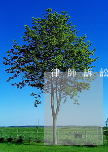 律師訴訟費多少(民事訴訟律師費需要多少)