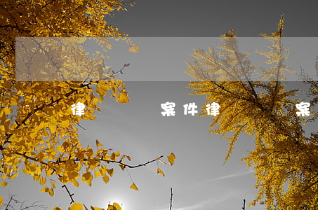 律師詐騙案件(律師詐騙案件)