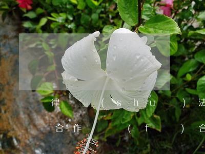 律師說(shuō)法：房地產(chǎn)合作開發(fā)合同的主體要求及效力